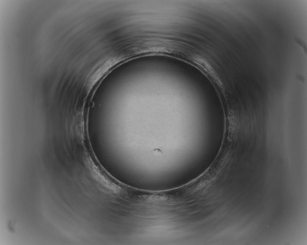 X0000103430890200809121327