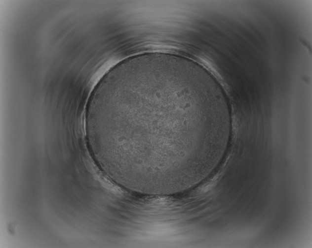 X0000103430891200809121327