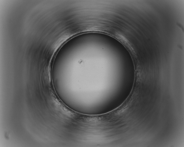 X0000103430892200809121327