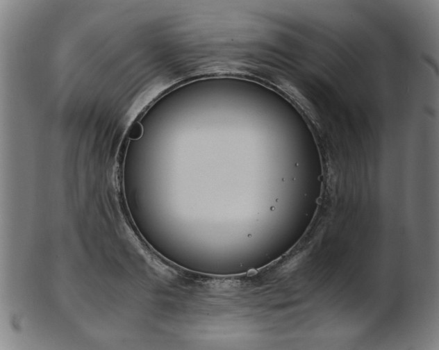 X0000103430893200809121327