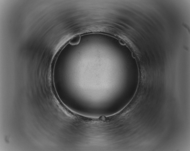 X0000103430894200809121327