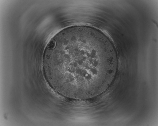 X0000103430895200809121327