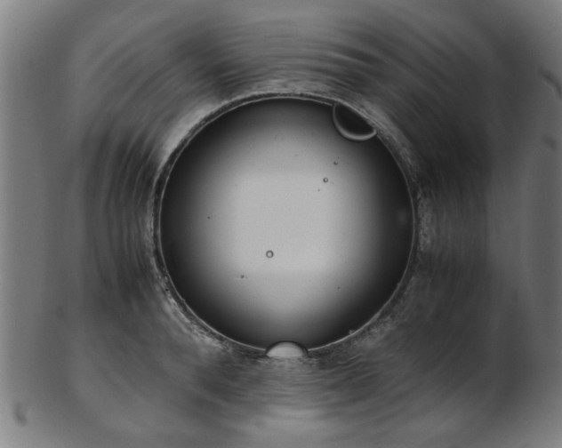 X0000103430896200809121327
