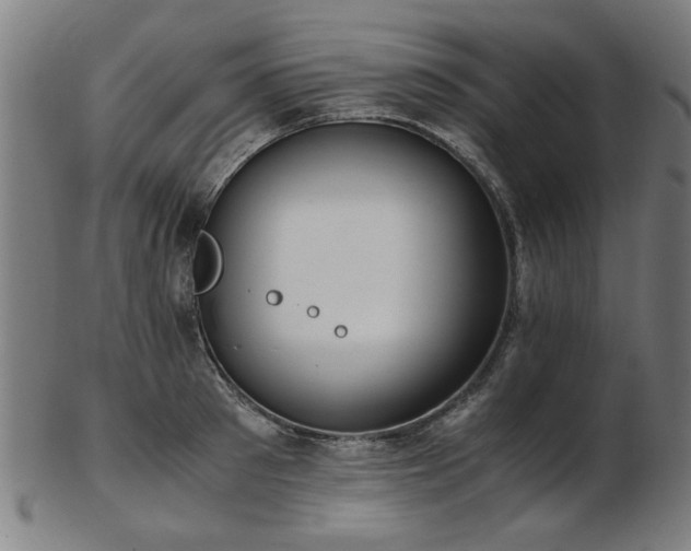 X0000103430897200809121327