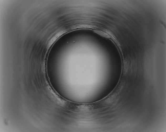 X0000103430898200809121327