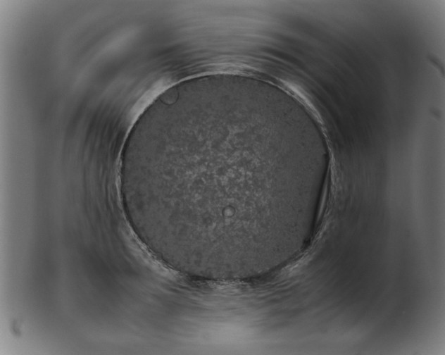 X0000103430899200809121327