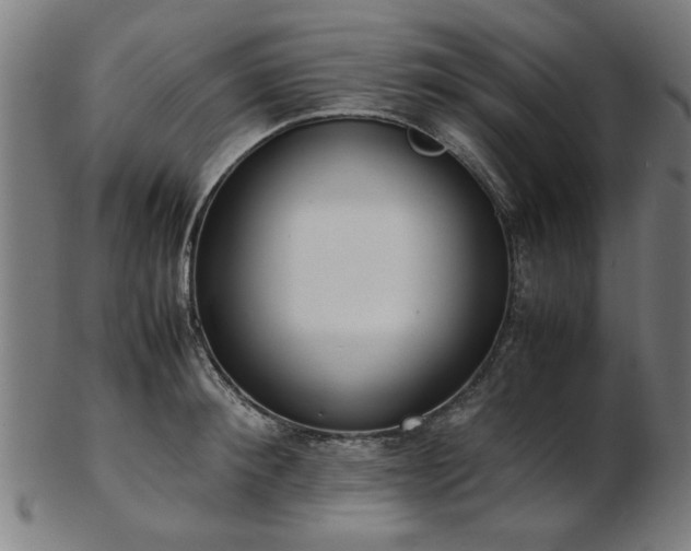 X0000103430900200809121327