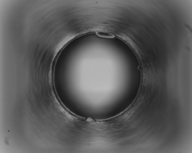 X0000103430902200809121327