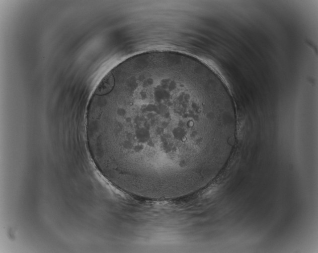 X0000103430903200809121327