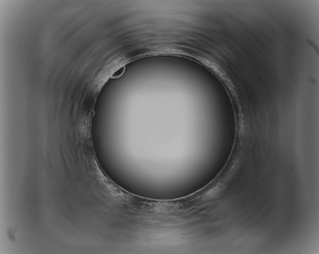 X0000103430905200809121327