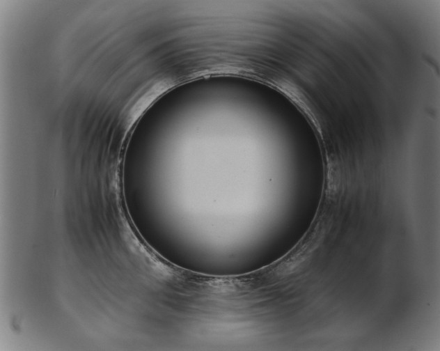 X0000103430906200809121327