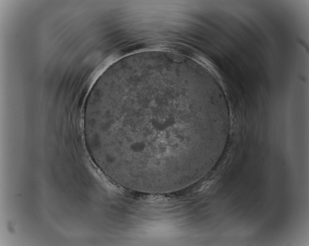 X0000103430907200809121327