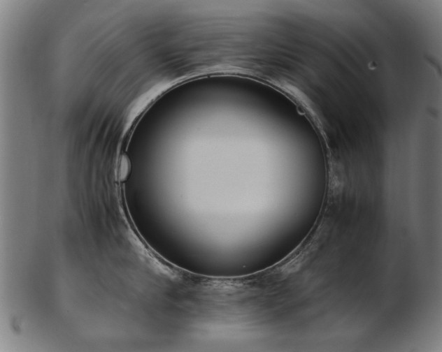 X0000103430910200809121327
