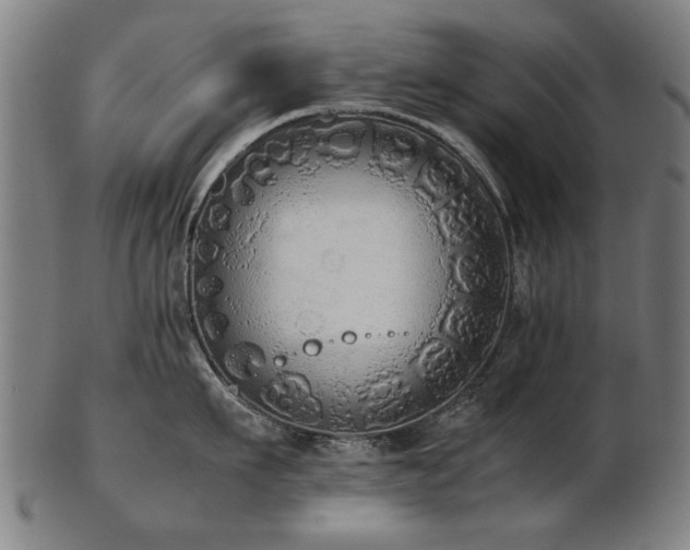 X0000103430911200809121327