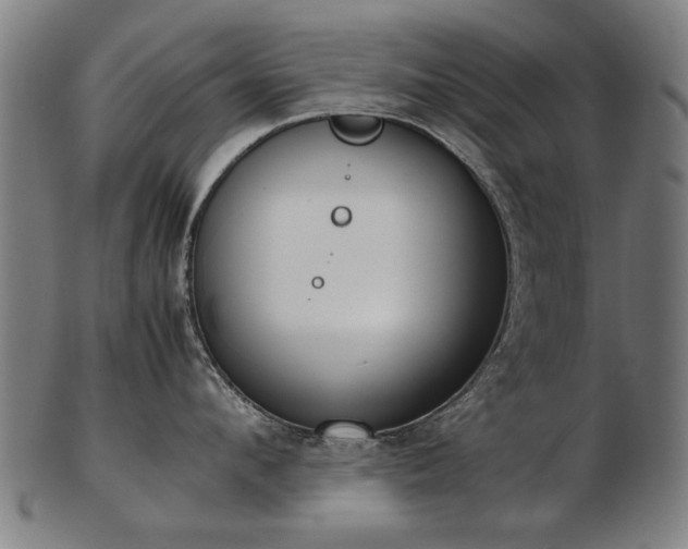 X0000103430912200809121326