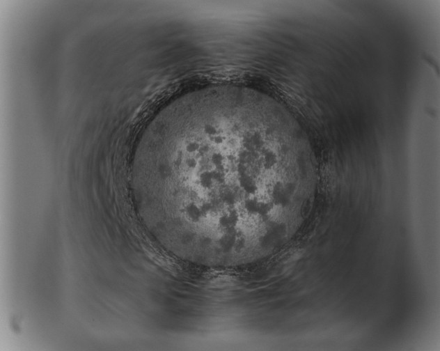 X0000103430913200809121326