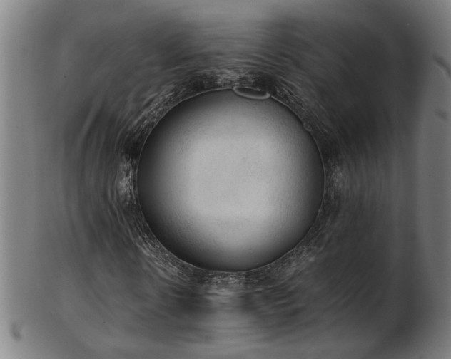 X0000103430914200809121326