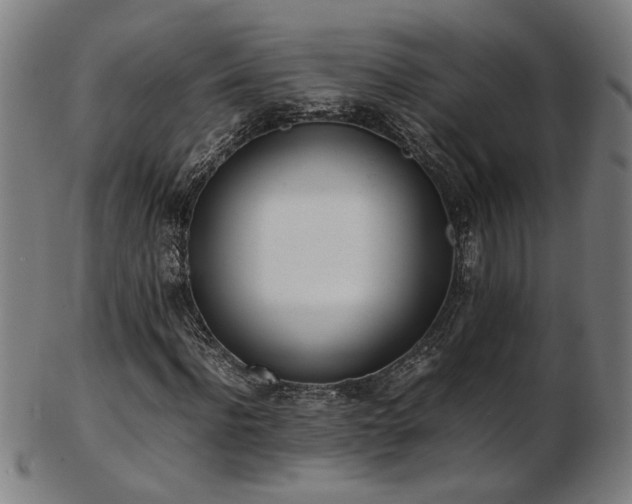 X0000103430916200809121326