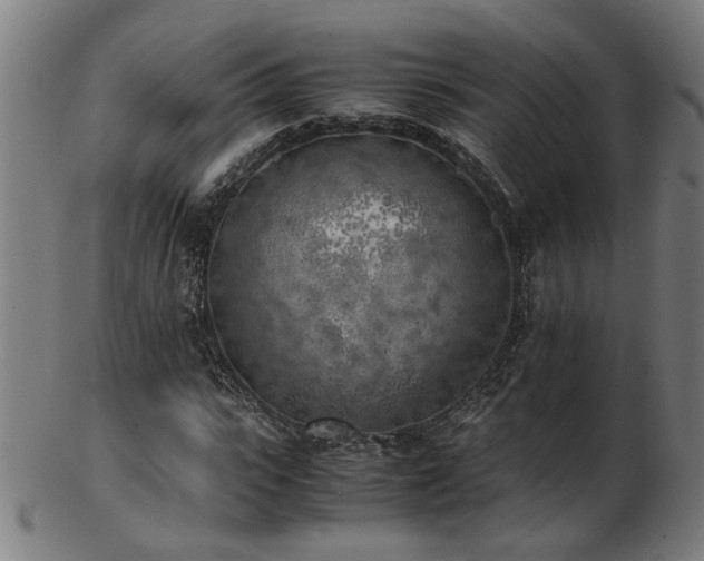 X0000103430919200809121326