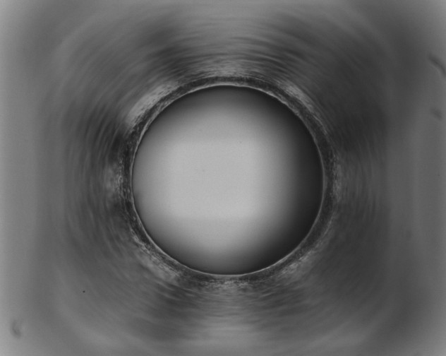 X0000103430922200809121326