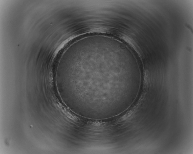 X0000103430923200809121326