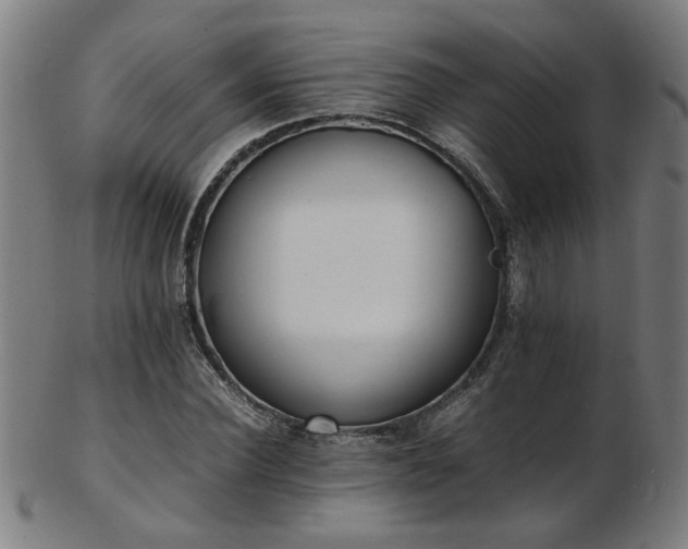 X0000103430924200809121326