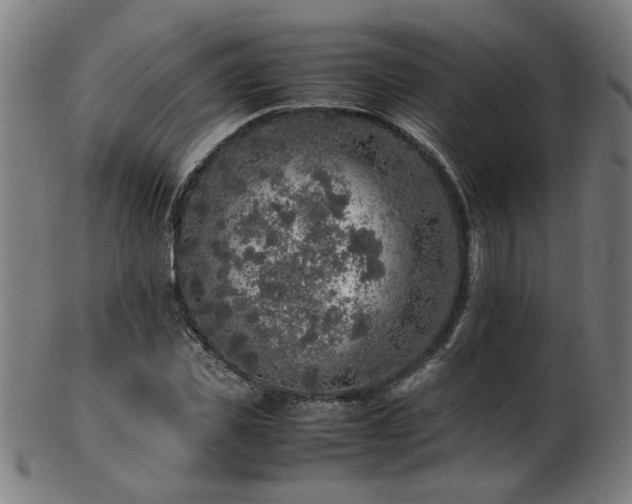 X0000103430925200809121326