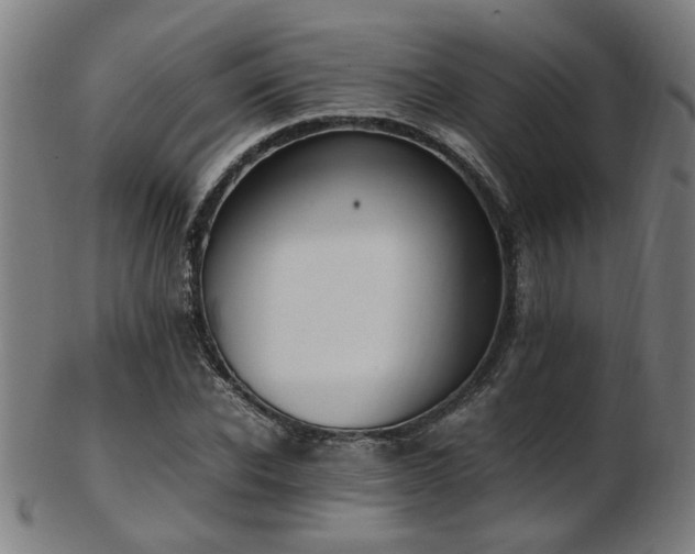 X0000103430926200809121326