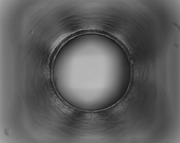 X0000103430927200809121326