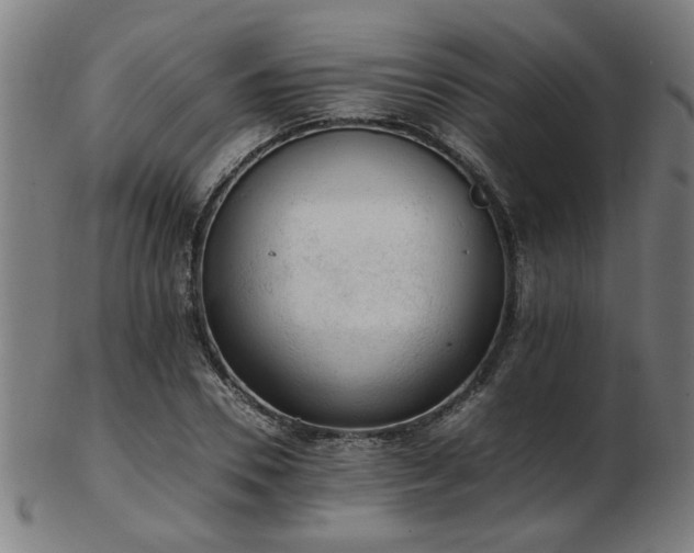 X0000103430930200809121326
