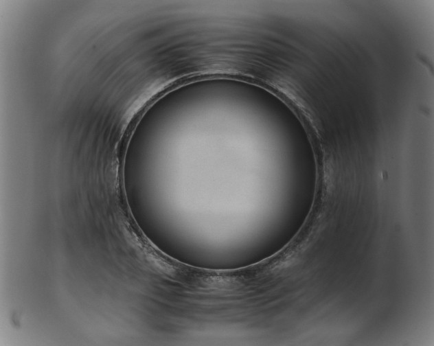 X0000103430933200809121326