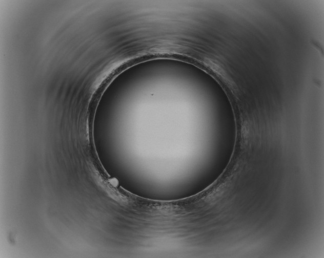 X0000103430934200809121326