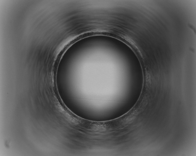X0000103430935200809121326