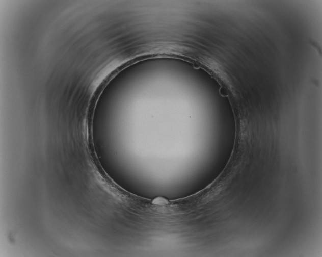 X0000103430936200809121326