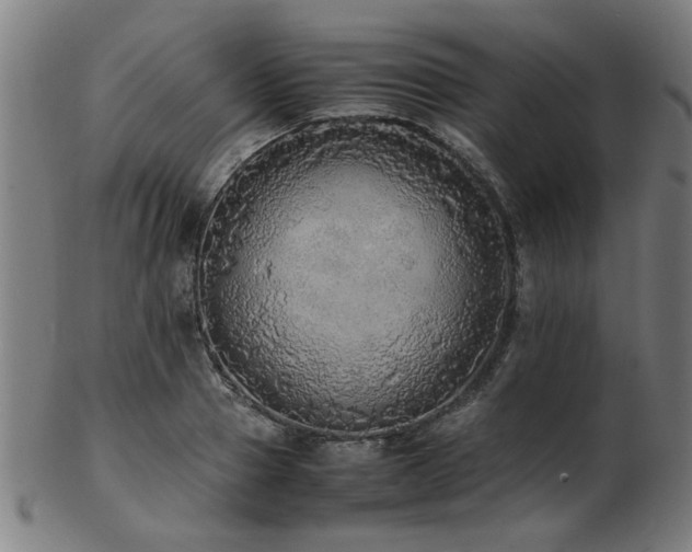 X0000103430937200809121326