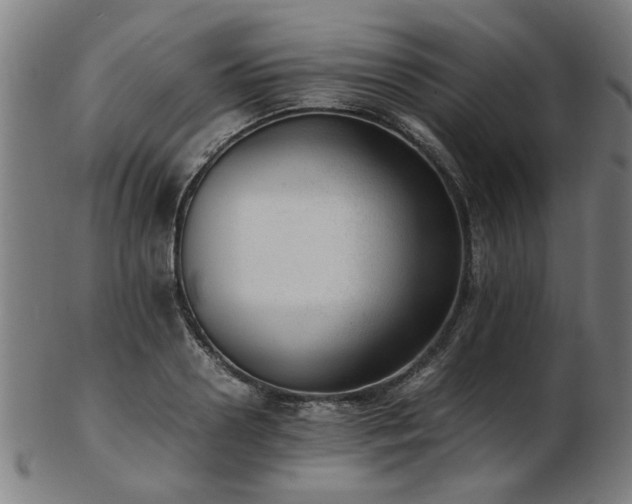 X0000103430938200809121326