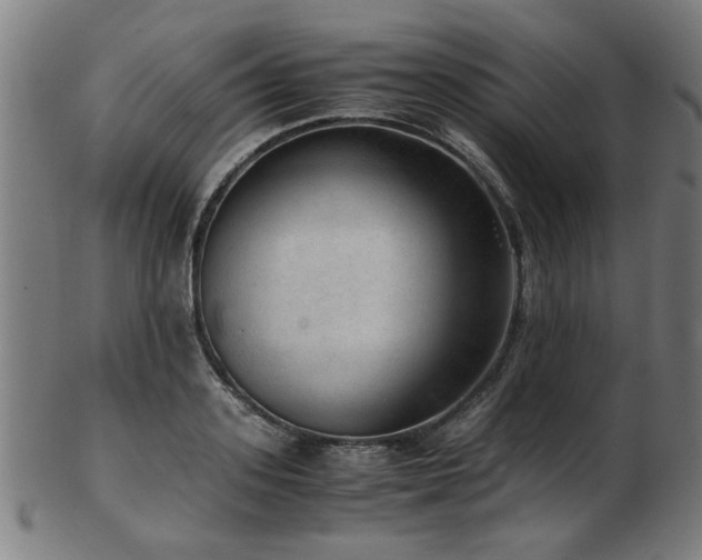 X0000103430939200809121326