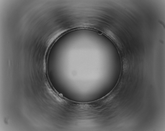 X0000103430940200809121326