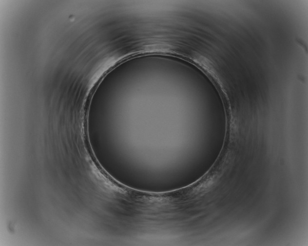 X0000103430941200809121326