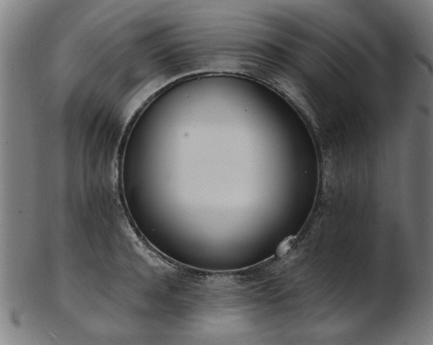 X0000103430944200809121326