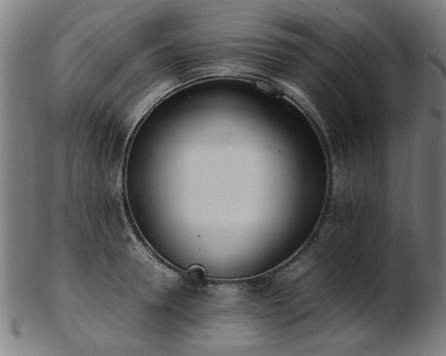 X0000103430946200809121326