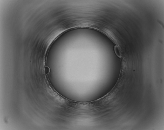 X0000103430948200809121326