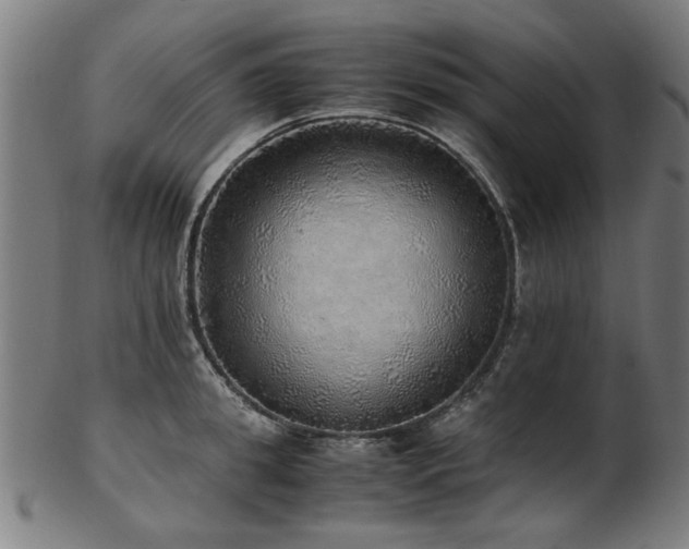 X0000103430949200809121326