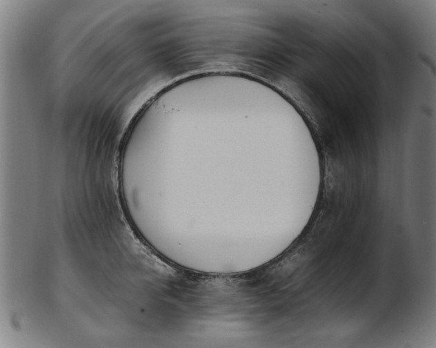 X0000103430950200809121326