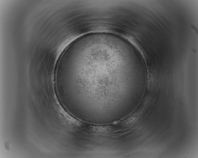 X0000103430951200809121326