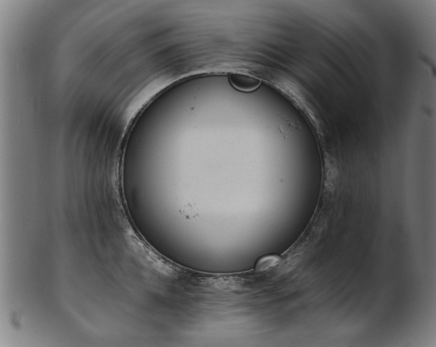 X0000103430952200809121326