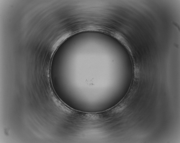 X0000103430954200809121326