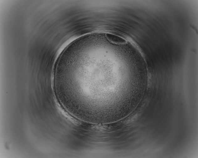 X0000103430955200809121326