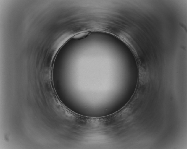 X0000103430956200809121326