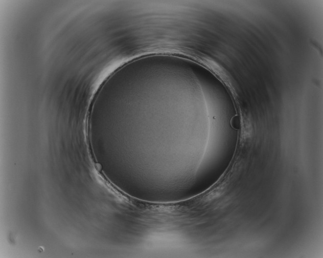 X0000103430958200809121326